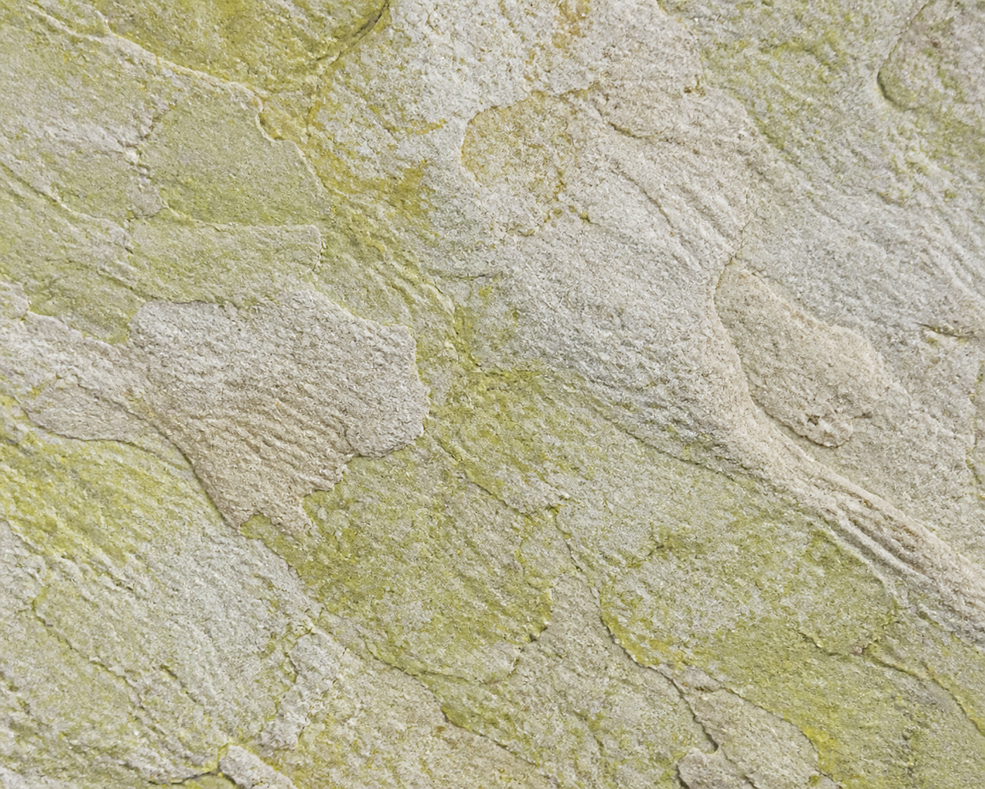 Textures naturelles